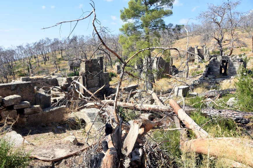 Büyük Manavgat yangınında zarar gören ağaçlar, antik yapıların üzerine devrildi