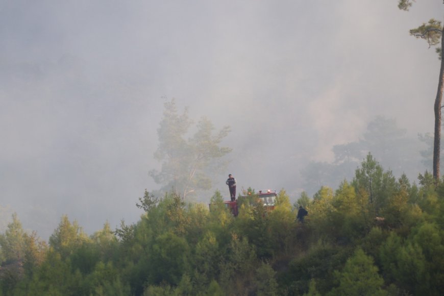 Muğla'nın 2 ilçesinde orman yangınlarına müdahale sürüyor (2)