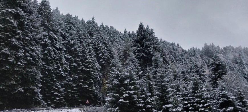 Bolu’nun yüksek kesimleri beyaza büründü