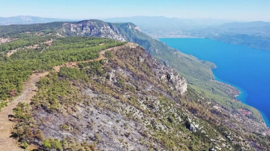 Muğla'daki orman yangınlarında 849 hektar alan kül oldu