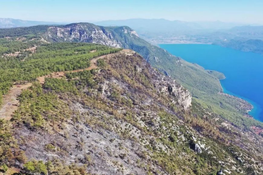 Muğla'daki orman yangınlarında 849 hektar alan kül oldu